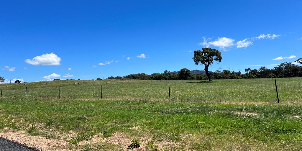 [Land for Sale] Tenterfield Rise Estate, Tenterfield OpenLot